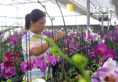 關閉化工廠環(huán)境產效益 西青加快生態(tài)區(qū)創(chuàng)建步伐-張家窩,環(huán)保-北方網-新聞中心